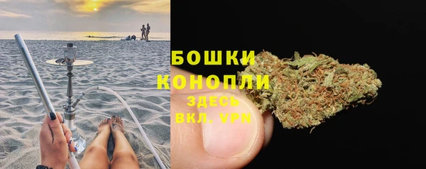 spice Богородск
