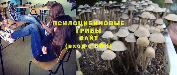 Альфа ПВП Белокуриха