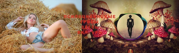 jwh Белоозёрский