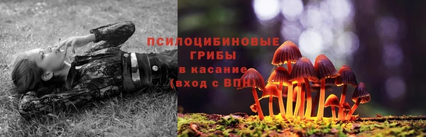 МДПВ Карпинск