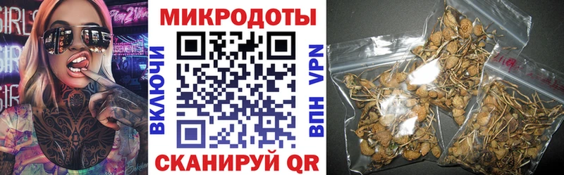 omg зеркало  где купить наркоту  Велиж  Псилоцибиновые грибы MAGIC MUSHROOMS 